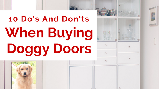 10 Do’s And Don’ts When Buying Doggy Doors